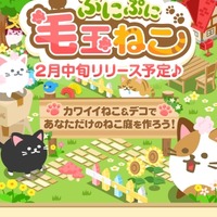 『ぷにぷに毛玉ねこ』