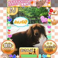 撮影した愛犬をゲーム内で育成し、全国デビューさせるSLG『ワンワンコロネット』サービス開始