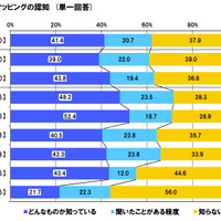 プロジェクションマッピングの認知