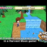 1作目の3DS『Harvest Moon: The Lost Valley』