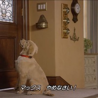 「フルハウス」20年ぶりの新シリーズ「フラーハウス」映像解禁