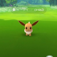 『ポケモンGO』Android版の起動時間が改善されるVer.0.55.0の情報が公開