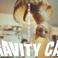 重力猫のかわいらしさが世界でも高評価！？『GRAVITY DAZE 2』のCM「GRAVITY CAT」が国際広告賞でグランプリを獲得