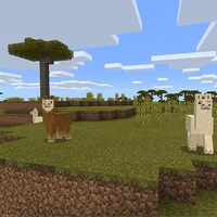 『Minecraft』Windows 10＆モバイル版で大型アップデート！―新たに「森の洋館」が追加
