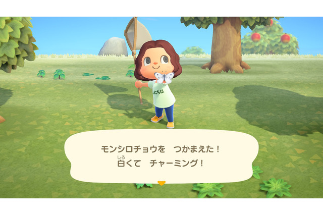 『あつまれ どうぶつの森』GWはおうちで生き物を触れ合おう！リアルになったグラフィックを使えば家族でクイズが楽しめる 画像