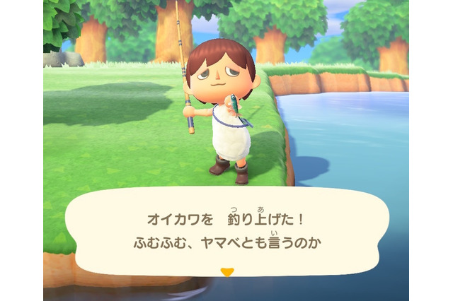 雑魚のくせして超キレイ！『あつまれ どうぶつの森』で釣れるオイカワってどんな魚？【平坂寛の『あつ森』博物誌】 画像