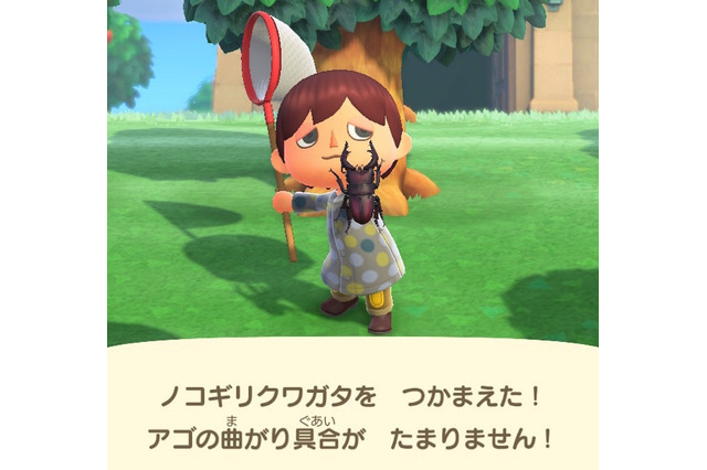 夏本番!『あつまれ どうぶつの森』に出てくる「ノコギリクワガタ」ってどんな虫?【平坂寛の『あつ森』博物誌】 画像