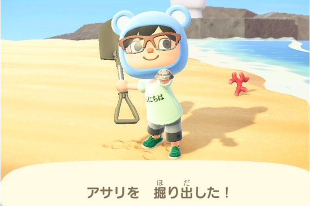 『あつまれ どうぶつの森』の「アサリ」はもっとも不憫!? 同じ生き物なのになぜか哀れな二枚貝を解説 画像