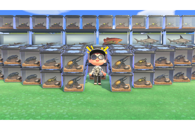 『あつまれ どうぶつの森』一晩全力で虫取り・魚釣りに挑んだら何ベル稼げるのか？ 高額生物に絞って離島ツアーで大儲け！ 画像