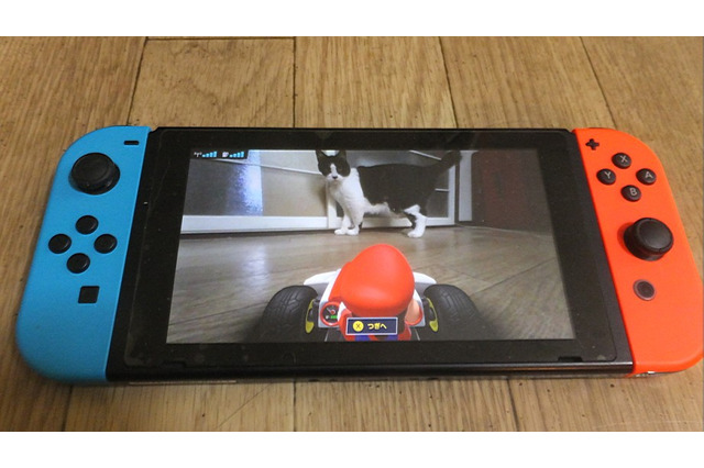 『マリオカート ライブ ホームサーキット』で飼い猫を眺めてみた! 低視点がこれまでにない新鮮さを生み、猫はいつも通り気まぐれ・・・ 画像