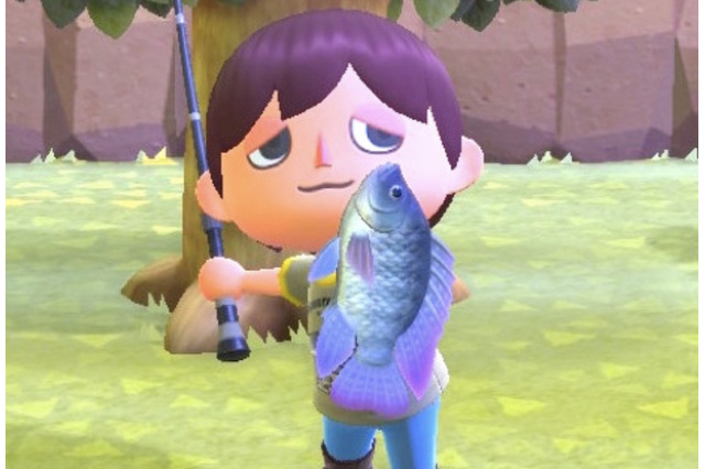 とにかくタフ!!『あつまれ どうぶつの森』で釣れる「ティラピア」は最強の淡水魚!【平坂寛の『あつ森』博物誌】 画像