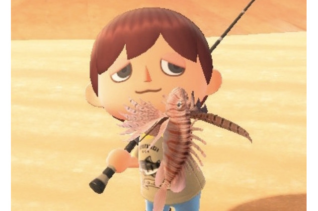 綺麗な魚には毒がある!『あつまれ どうぶつの森』で釣れる「ミノカサゴ」ってこんな魚【平坂寛の『あつ森』博物誌】 画像