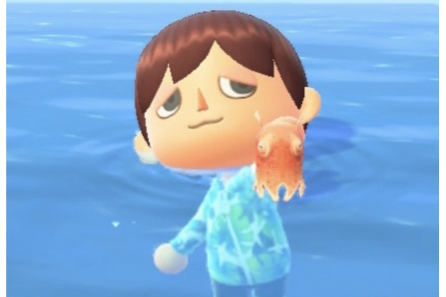 UFO?お面?『あつまれ どうぶつの森』で採れる「メンダコ」は深海のマスコット!【平坂寛の『あつ森』博物誌】 画像