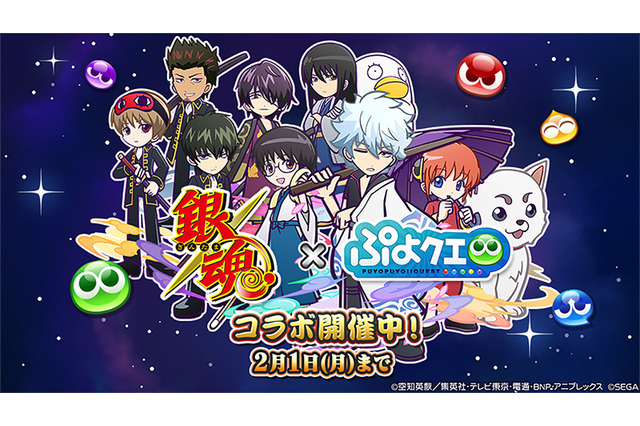 『ぷよクエ』×「銀魂」コラボ開催中!銀さん、新八、神楽が暴れ回る豪華ストーリーは“過去最大級”!限定コラボキャラも多数登場 画像