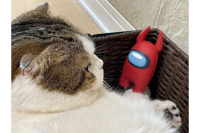 桜井政博氏「参戦疑惑に気を遣う必要がなくなりましたね」―『スマブラSP』開発終了に安堵の『Among Us』ツイート 画像