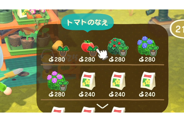 『あつまれ どうぶつの森』料理に使う野菜・材料はどこで手に入る？ 「レイジ」を勧誘して畑を作ろう！ 画像