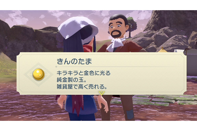 『ポケモンレジェンズ アルセウス』お金が足りないときの金策手段！地味な方法から「時空の歪み」での一攫千金まで 画像