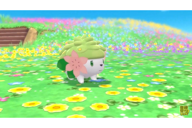 『ポケモン ダイパリメイク』で「シェイミ」を仲間にしよう! 「オーキドのてがみ」を順次配信開始 画像