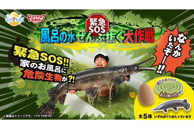 『緊急SOS！池の水ぜんぶ抜く大作戦』をお風呂で完全再現！？浴槽の底に外来生物が沈むユニークな“入浴剤”がインパクト抜群 画像