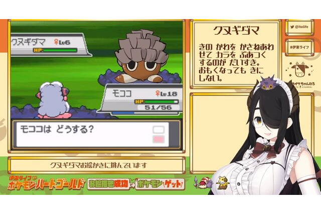 『ポケモン』ニュースランキング―伊東ライフ先生の描いた「クヌギダマ」に驚き！？ ポケカ新弾「VSTARユニバース」抽選販売もスタート 画像