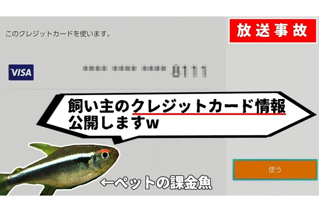 魚にクレカ情報開示された!『ポケモン』プレイ配信中のペットが勝手に…その後500円分を不正利用する暴れっぷり 画像