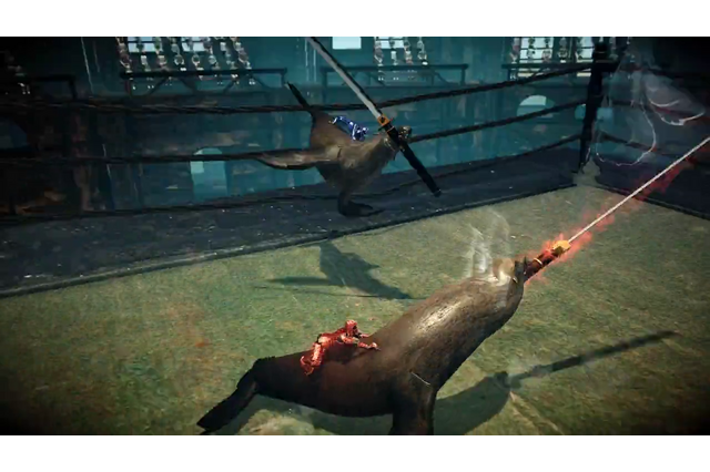 『カニノケンカ』制作者の次回作は『アシカノケンカ』！？人間を乗せたアシカが剣をくわえ激しくぶつかり合う 画像