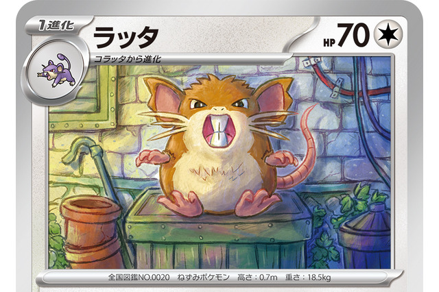 『ポケモンカード151』新カード「ラッタ」を独占公開!「ゾロアーク(げんえいへんげ)」と相性抜群、ガチで採用されそうな一枚 画像