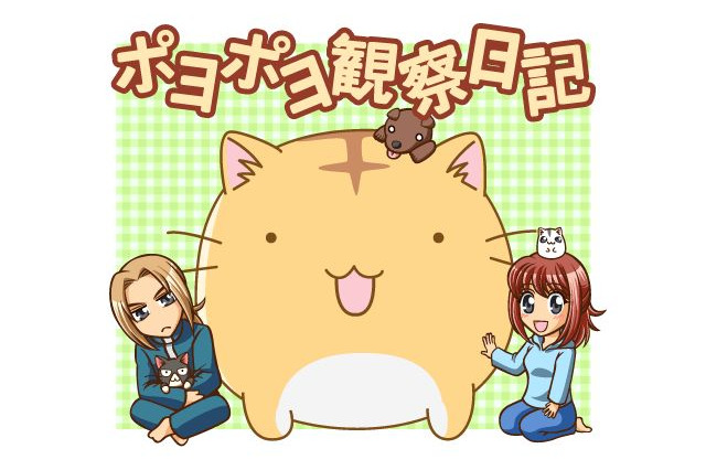 まんまる猫「ポヨ」がソーシャルゲームになった『ポヨポヨ観察日記』本日より配信スタート 画像