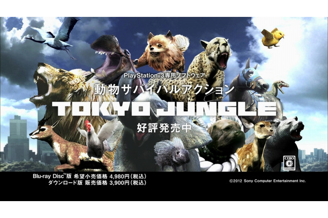 【CEDEC 2012】経験ゼロからでも大ヒット『TOKYO JUNGLE』の制作者が語る、その理由 画像