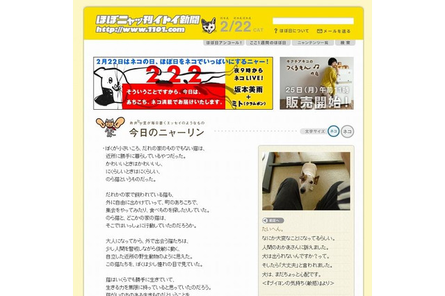 2月22日は猫の日、「ほぼ日刊イトイ新聞」はニャッ刊に 画像