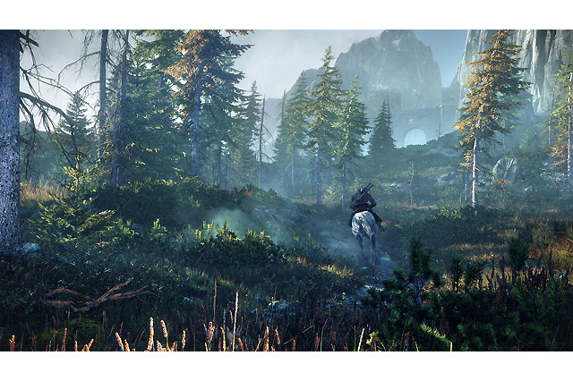 次世代のノンリニア/オープンワールドアクションRPG『The Witcher 3: Wild Hunt』プレビュー 画像