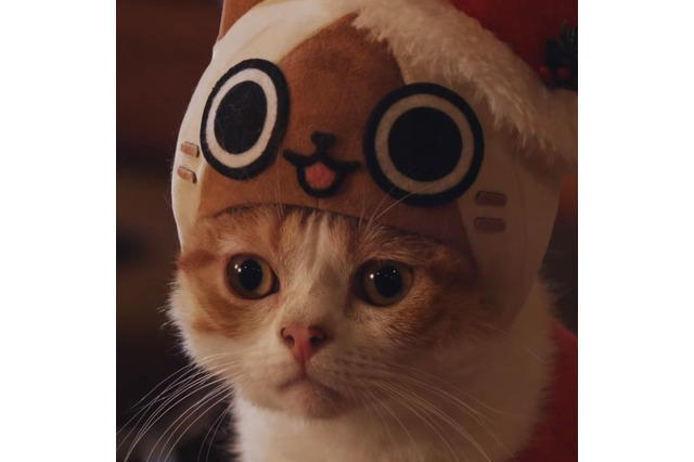 サンタなアイルーに扮した猫が！WEB限定『モンハン』CMが超キュート 画像