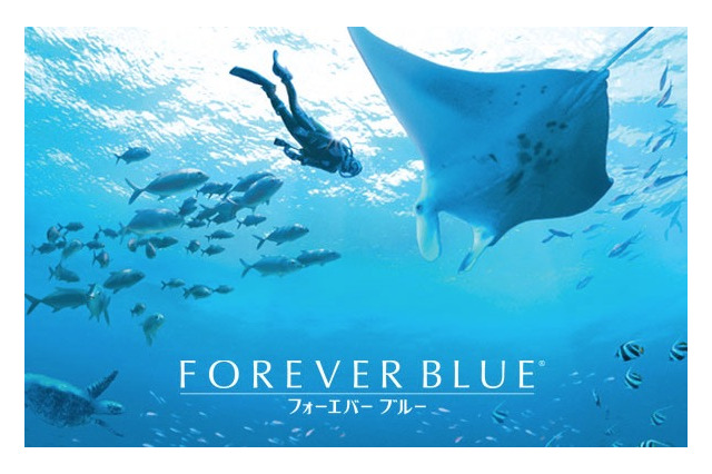 「Wii」発売10周年！名作『FOREVER BLUE』に思いを馳せる 画像
