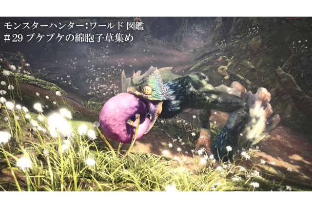 『モンスターハンター:ワールド』世界を覗く紹介動画「モンスターハンター:ワールド図鑑」の第四弾が公開! 画像