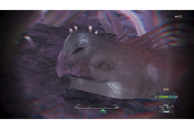 『モンハン：ワールド』モンスターの寝顔・第2弾―ジャグラスからランゴスタまで小型をピックアップ 画像