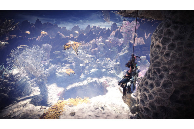 時間帯で印象も違う？『モンハン：ワールド』の絶景・名所ー「陸珊瑚の台地/瘴気の谷」編 画像