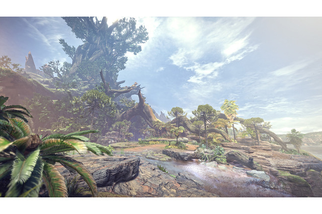 『モンハン：ワールド』あなたのお気に入りのフィールドは？【読者アンケート】 画像