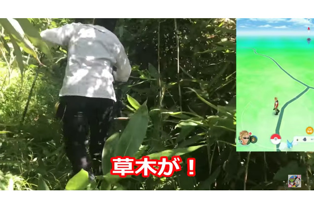 山奥の秘境ポケストからはレアタスクが出るらしい…ならば登ろうじゃないか【ポケモンGO 秋田局】 画像