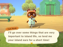 スイッチ『あつまれ どうぶつの森』で始める語学留学！ Pick up and Catch：まずは採取から始めよう 画像
