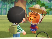 『あつまれ どうぶつの森』“カブ”であなたも億万長者!?　儲かる・便利・意外な使い道のあるカブ取引をはじめよう 画像