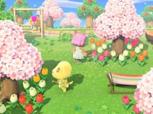 『あつまれ どうぶつの森』楽しすぎてGWが一瞬で溶けるかも…？ドットデザインにガーデニング、テレワークだってできちゃう【2020年前半振り返り】 画像