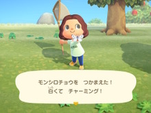 『あつまれ どうぶつの森』GWはおうちで生き物を触れ合おう！リアルになったグラフィックを使えば家族でクイズが楽しめる 画像