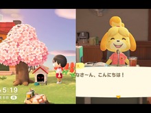『あつまれ どうぶつの森』の謎に迫る─二足歩行するイヌと、ふつうの犬が存在しているらしいのはなぜ？ 画像