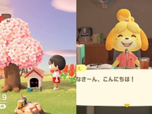 【週刊インサイド】『あつまれ どうぶつの森』二足歩行のイヌとふつうの犬が存在するのはなぜ？─amazonで買える“半額以下”の新品ソフト特集にも関心集まる 画像
