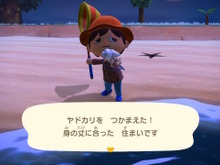 『あつまれ どうぶつの森』ステイホームの達人「ヤドカリ」ってどんな生き物？【平坂寛の『あつ森』博物誌】 画像
