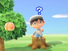 『あつまれ どうぶつの森』アプデで追加を期待したいアイテム＆施設＆イベント10選─ぺりおの恋の行方はどうなった？ 画像