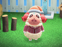 【大喜利】『あつまれ どうぶつの森』人気者のちゃちゃまるが移住してきた!でも翌日には涙目で「引っ越そうかな」とポツリ、その理由は? 画像