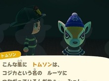『あつまれ どうぶつの森』これは気付いてた？博物館の魅力が垣間見える魅力を再チェック─アンチョビは時々襲われるし、ムカデが脱走することも 画像
