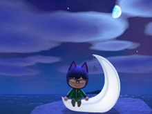 眠れない夜に『あつまれ どうぶつの森』を遊ぶと楽しい8つの理由─夜中にこそ見える世界もある 画像