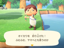 雑魚のくせして超キレイ!『あつまれ どうぶつの森』で釣れるオイカワってどんな魚?【平坂寛の『あつ森』博物誌】 画像